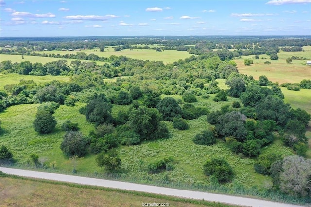 12435 Batson Loop, Normangee, TX 77871 - photo 3