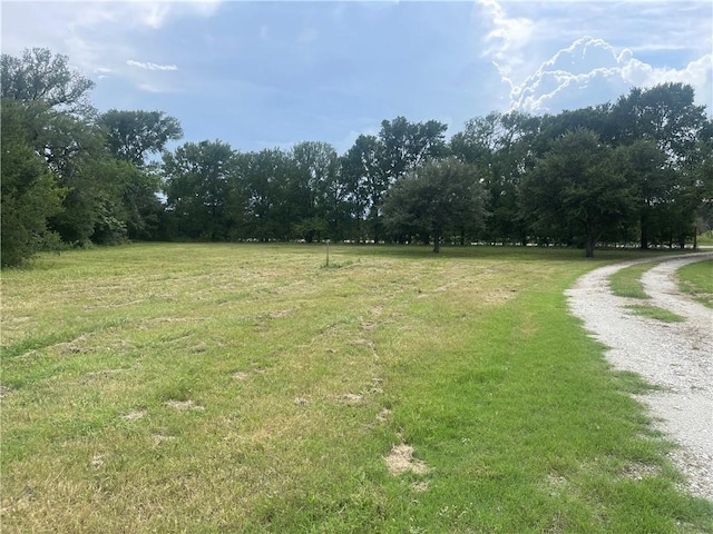 1375 County Road 403, Anderson, TX 77830 - photo 36