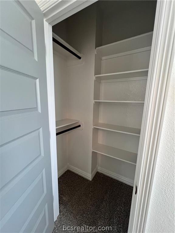 spacious closet with carpet