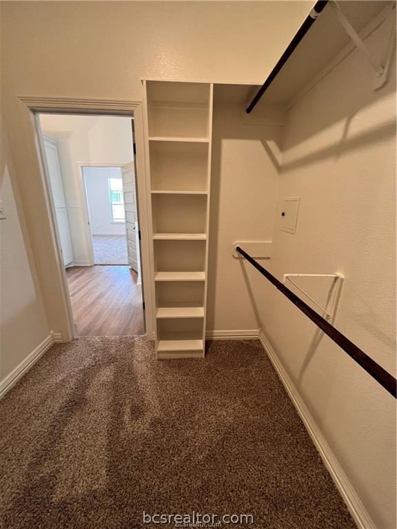 spacious closet featuring carpet flooring