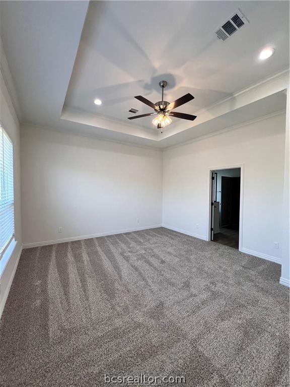 spare room with carpet, a raised ceiling, ceiling fan, and crown molding