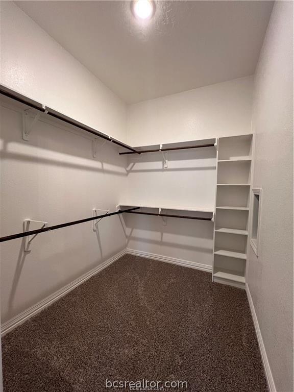 walk in closet with carpet floors