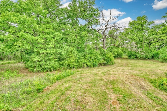 440 County Road 314, Milano, TX 76556 - photo 10