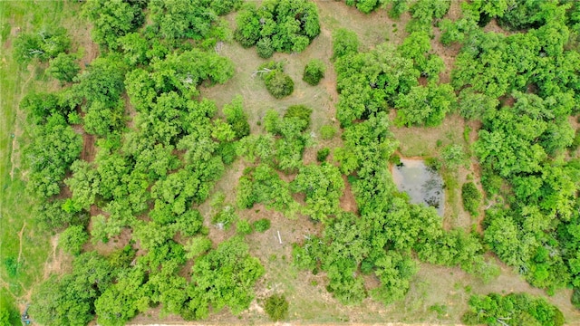 440 County Road 314, Milano, TX 76556 - photo 19