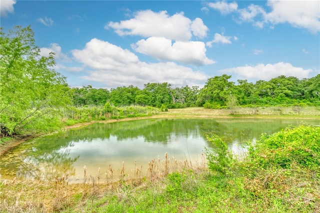 440 County Road 314, Milano, TX 76556 - photo 7