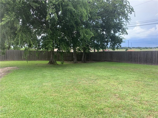 1707 Shawnee St, Navasota, TX 77868 - view of fenced backyard