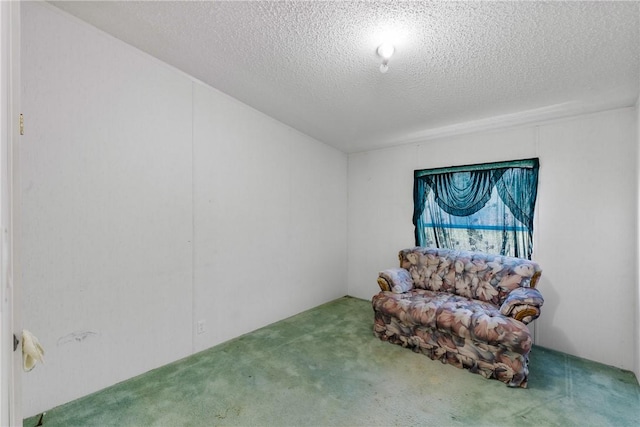 sitting room with carpet and a textured ceiling