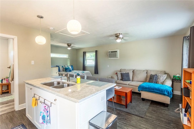 1701 Bradley Rd, College Station, TX 77845 - kitchen with a sink, open floor plan, ceiling fan, and dark wood-type flooring