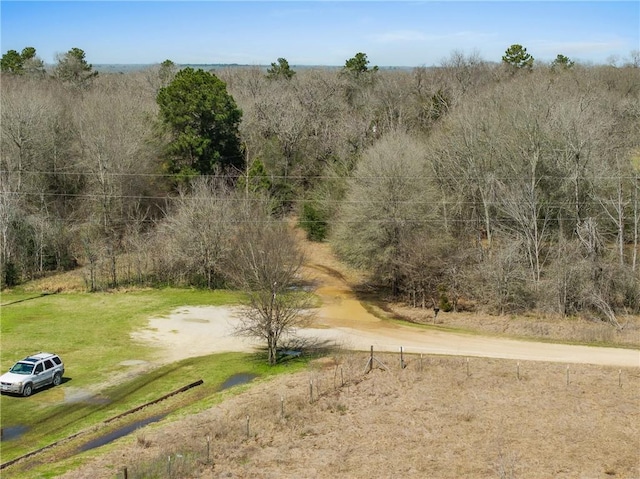 view of community featuring a yard and dirt driveway