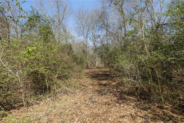 view of landscape with a view of trees