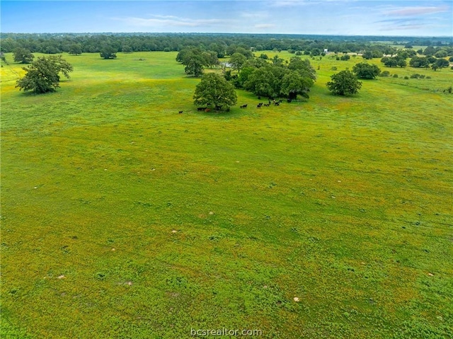 Listing photo 3 for TBD Fm 141, Giddings TX 78942