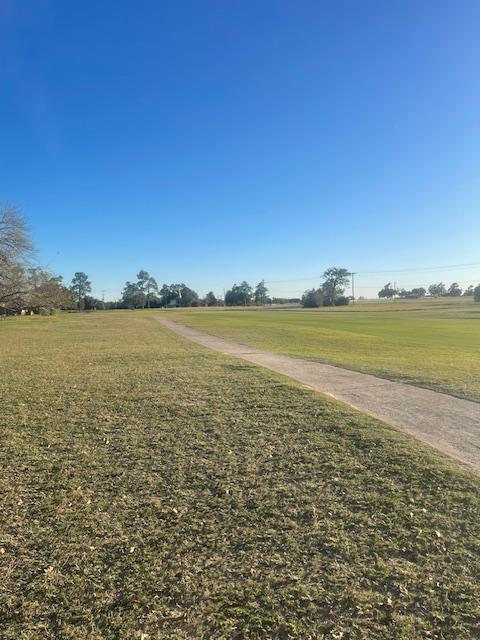 Lot8,9, Patio, Hilltop Lakes, TX 77871 - photo 9