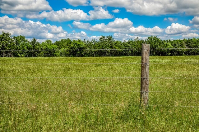 1850 Lcr 439, Groesbeck, TX 76667 - view of yard