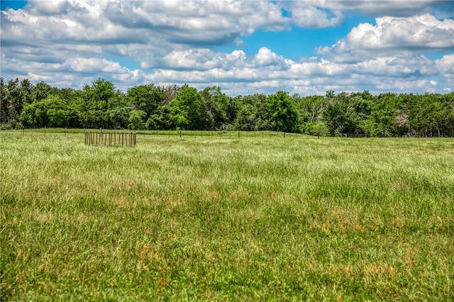 1850 Lcr 439, Groesbeck, TX 76667 - view of yard with a view of rural / pastoral area and a wooded view