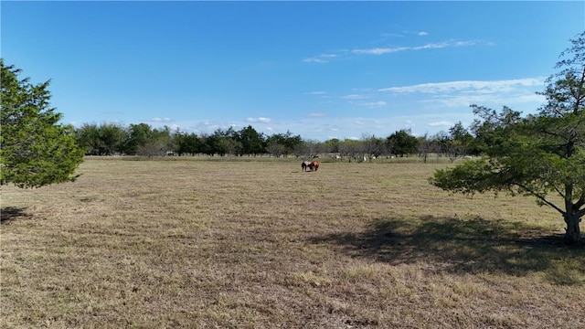 view of local wilderness featuring a rural view