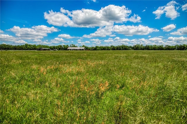 1850 Lcr 439, Groesbeck, TX 76667 - view of local wilderness featuring rural landscape