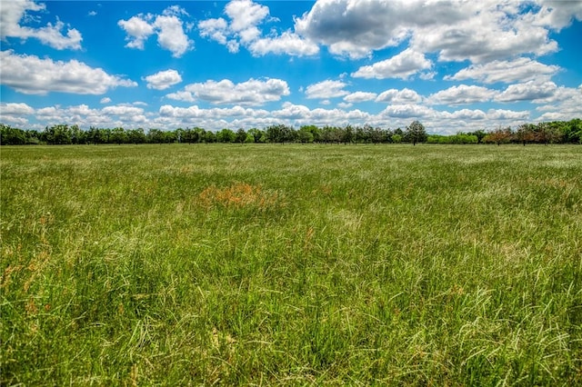 1850 Lcr 439, Groesbeck, TX 76667 - view of local wilderness featuring rural landscape