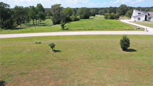 10239 Henley Cv, Iola, TX 77861