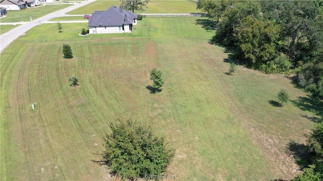 10239 Henley Cv, Iola, TX 77861