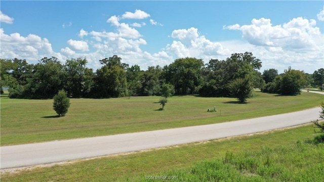 10239 Henley Cv, Iola, TX 77861