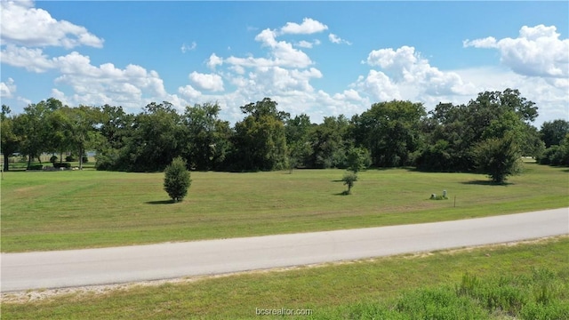 10239 Henley Cv, Iola, TX 77861