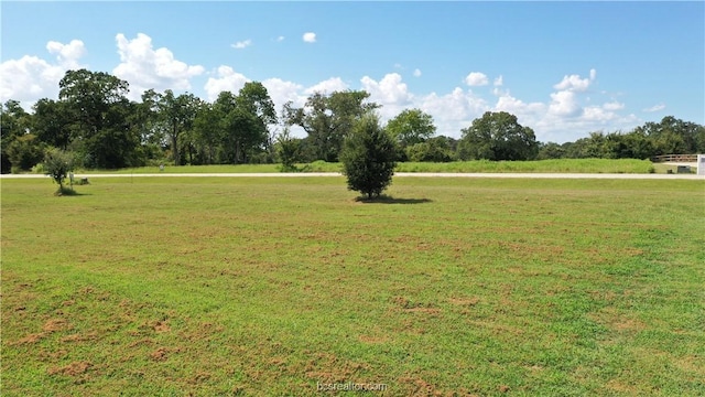 10239 Henley Cv, Iola, TX 77861