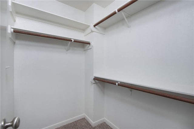 spacious closet with carpet floors