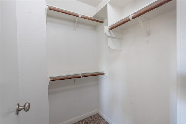 walk in closet with carpet flooring