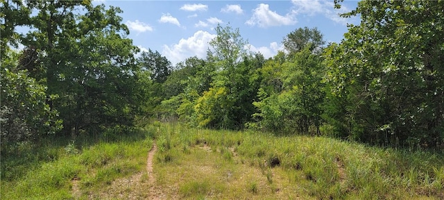 9999 Sadberry Rd, Hearne, TX 77859 - photo 10