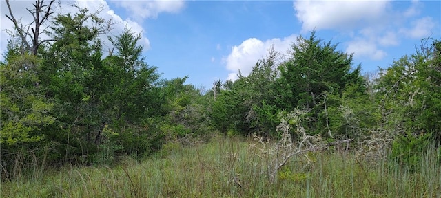 9999 Sadberry Rd, Hearne, TX 77859 - photo 11