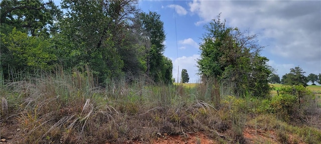9999 Sadberry Rd, Hearne, TX 77859 - photo 9