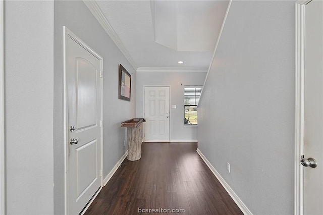 hallway with dark hardwood / wood-style flooring and crown molding