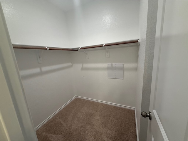 1213 Kennesaw Dr, College Station, TX 77845 - photo 7