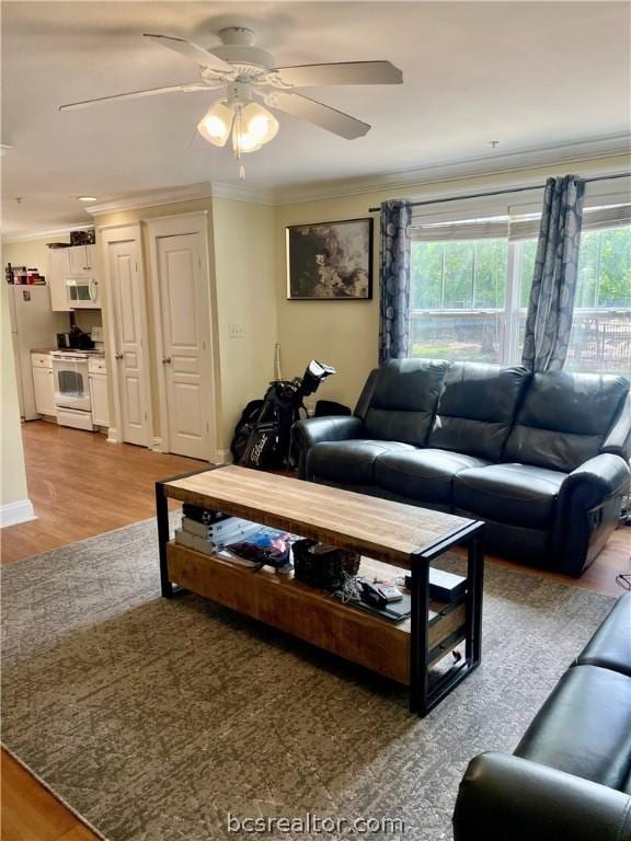 living room featuring ceiling fan, ornamental molding, and hardwood / wood-style flooring