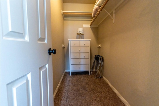 walk in closet with dark carpet