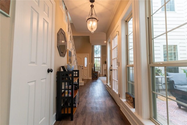 interior space with dark hardwood / wood-style flooring, french doors, crown molding, and a chandelier