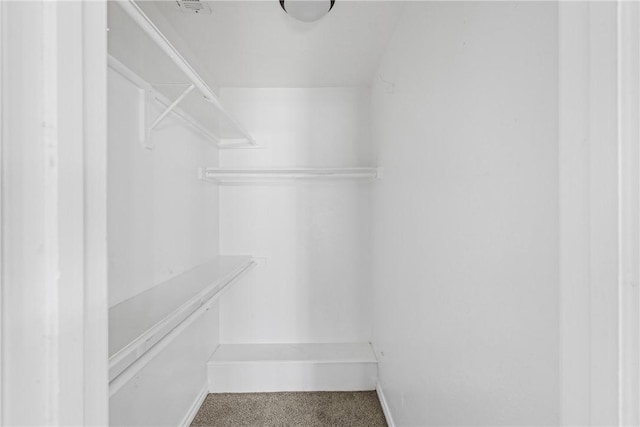 spacious closet featuring carpet