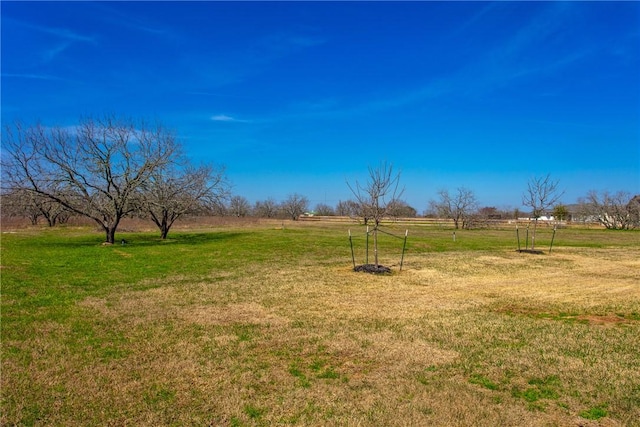 view of yard with a rural view