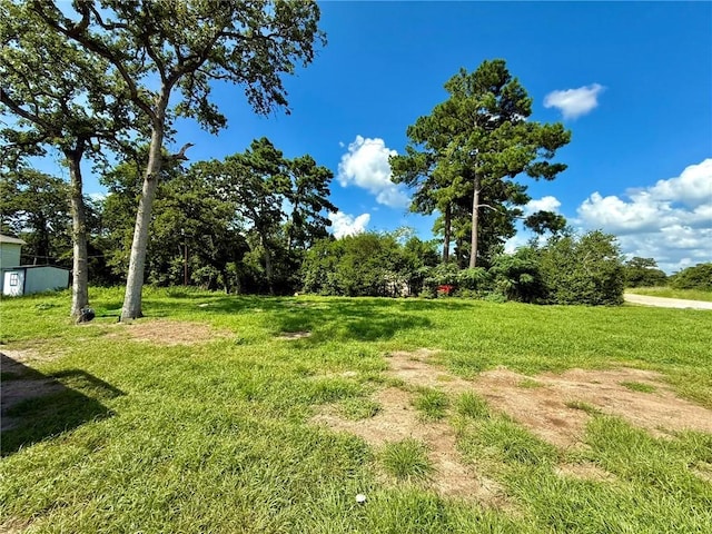 10 Catalina Ln, Hilltop Lakes, TX 77871 - photo 3