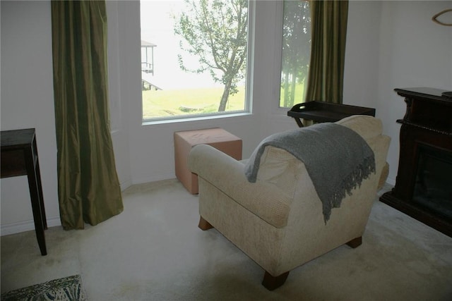231 Memphis Belle Ln, Trinity, TX 75862 - bedroom with multiple windows and carpet floors