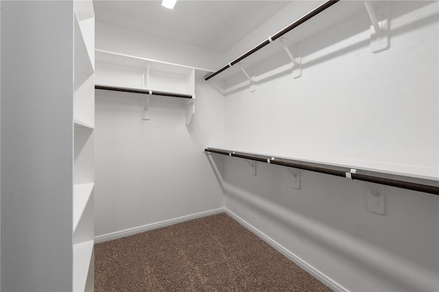 spacious closet with carpet floors