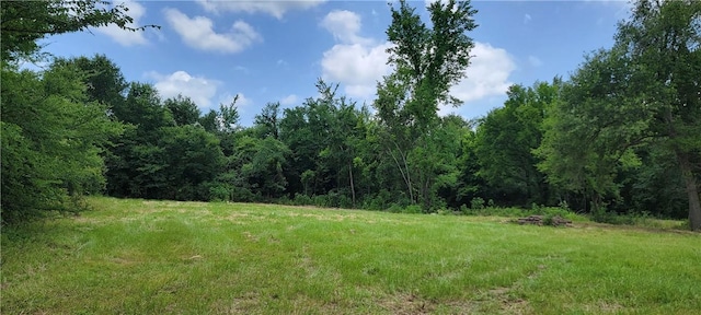 5135 Old Boone Prairie Rd, Franklin, TX 77856 - photo 3