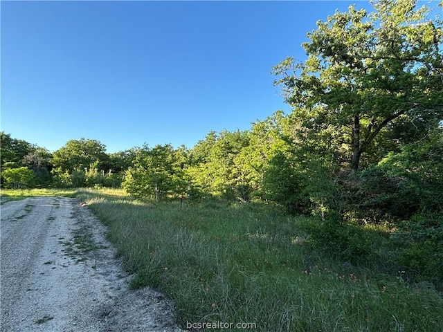 Listing photo 3 for TRACT2 Burr Oak Ln, Snook TX 77878