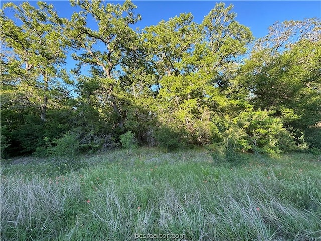 Listing photo 2 for TRACT2 Burr Oak Ln, Somerville TX 77879