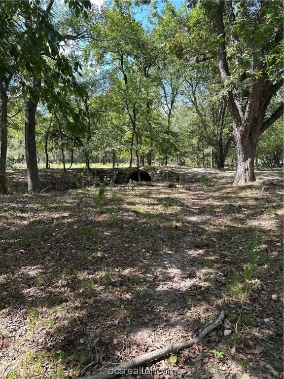 Listing photo 3 for 853 County Road 206, Bremond TX 76629