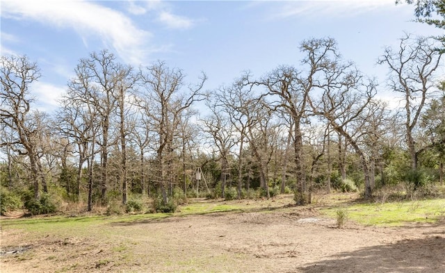 view of local wilderness featuring a wooded view