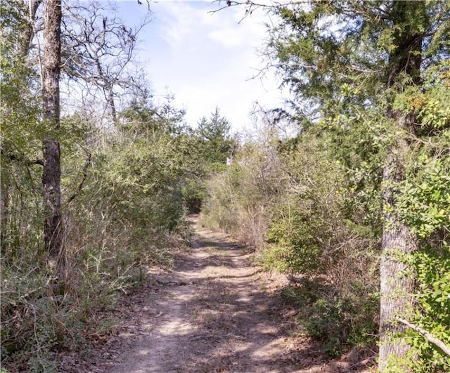 view of local wilderness with a wooded view