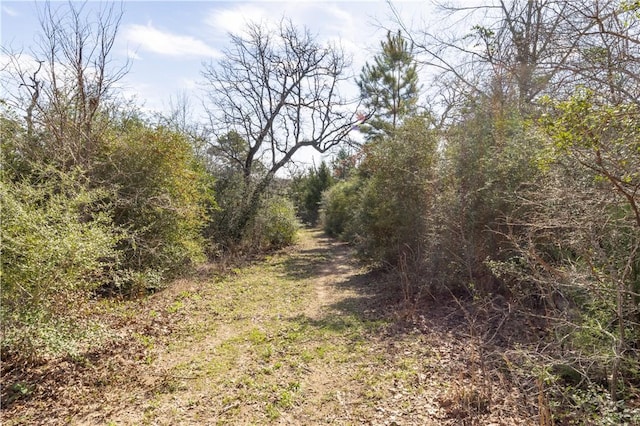 view of local wilderness