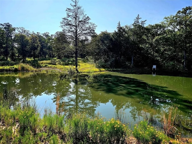 view of water feature