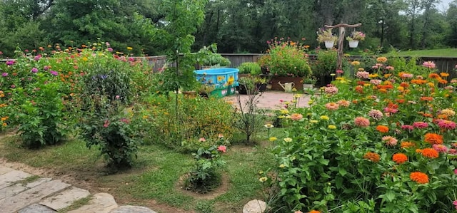 view of yard with a patio, a view of trees, and fence